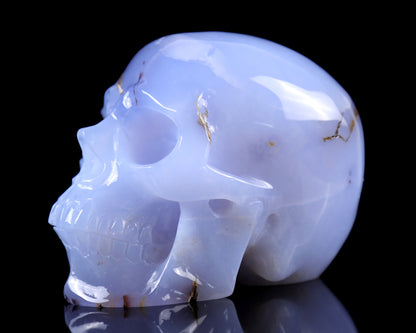 7.9" Blue Chalcedony Hand Carved Crystal Huge Realistic Skull Sculpture