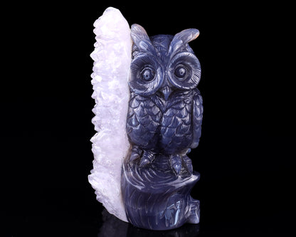 5.5" Quartz Rock Druse Hand Carved Crystal Owl Sculpture
