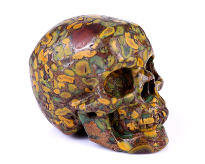 3.0" Roe Stone Hand Carved Crystal Realistic Skull Sculpture