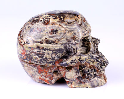4.4" Coin Agate Hand Carved Crystal Realistic Skull Sculpture