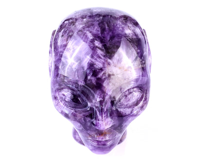 3.8