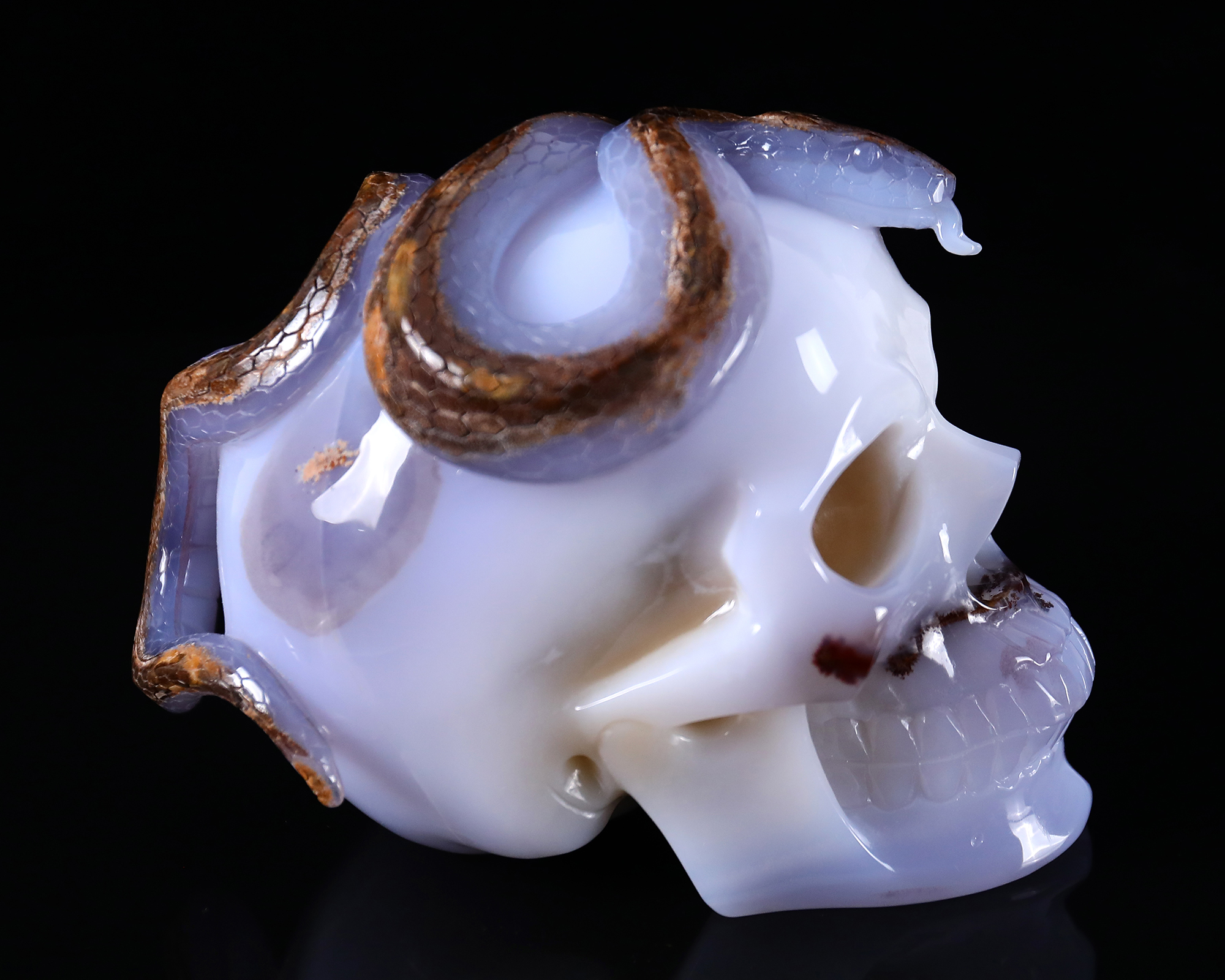 7.8 Inch Hand-Carved Blue Chalcedony Skull with Snake - Rare Natural Geode & Unique Patterns - Exquisite Artisan Decor