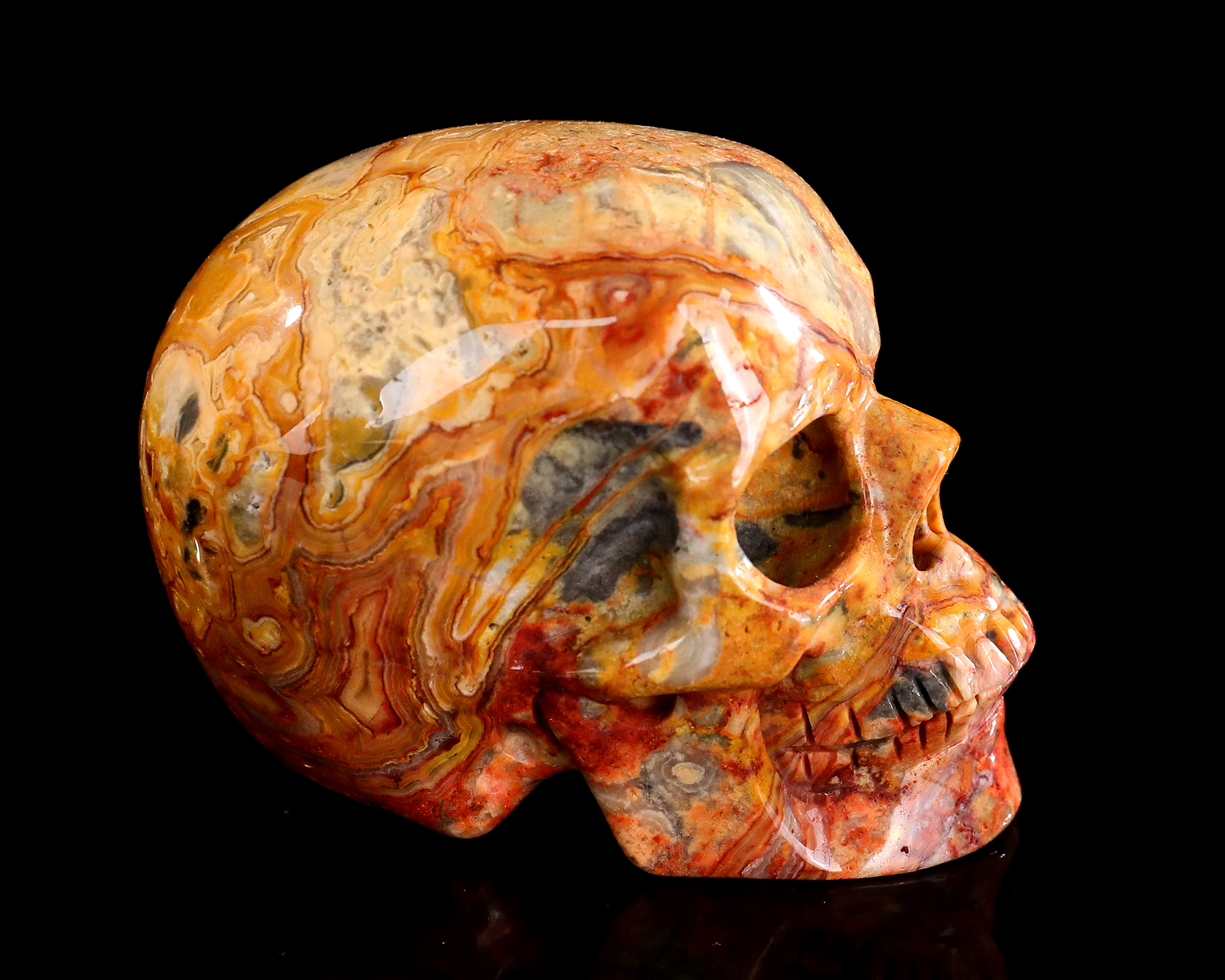 3.0" Hand-Carved Polished Crazy Lace Agate Skull - Natural Gemstone Sculpture