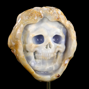 6.5" Natural Hand-Carved Geode Carved Raw Edged Blue Chalcedony Skull - Premium Gemstone Collectible