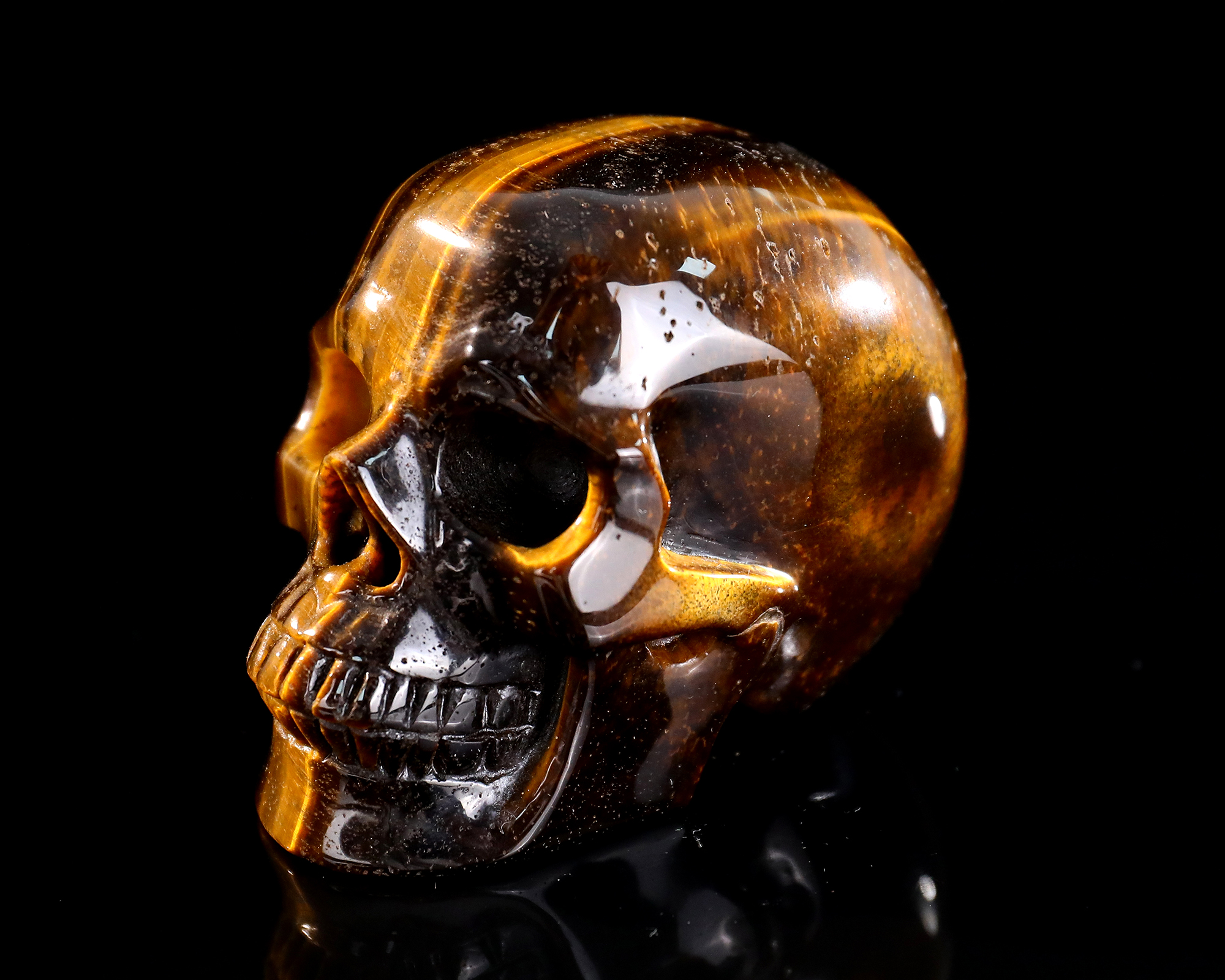 Lustrous Chatoyant Tiger's Eye Skull - Natural Artisan Hand-Carved Crystal Sculpture