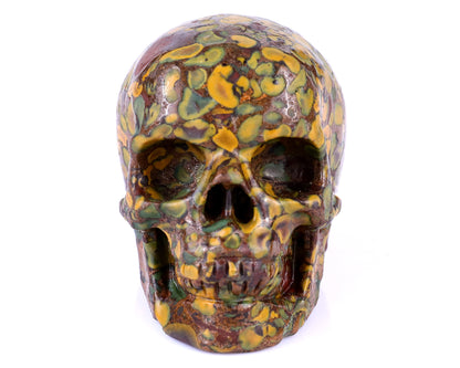 3.0" Roe Stone Hand Carved Crystal Realistic Skull Sculpture