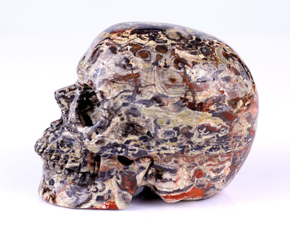 4.4" Coin Agate Hand Carved Crystal Realistic Skull Sculpture