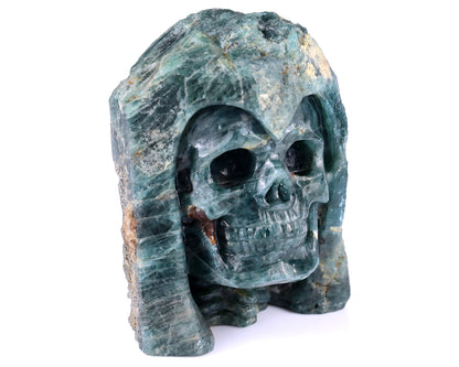 4.8" Blue Apatite Hand Carved Mineral Specimen Skull Sculpture