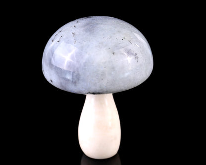 80mm Labradorite Hand Carved Crystal Mushroom Sculpture