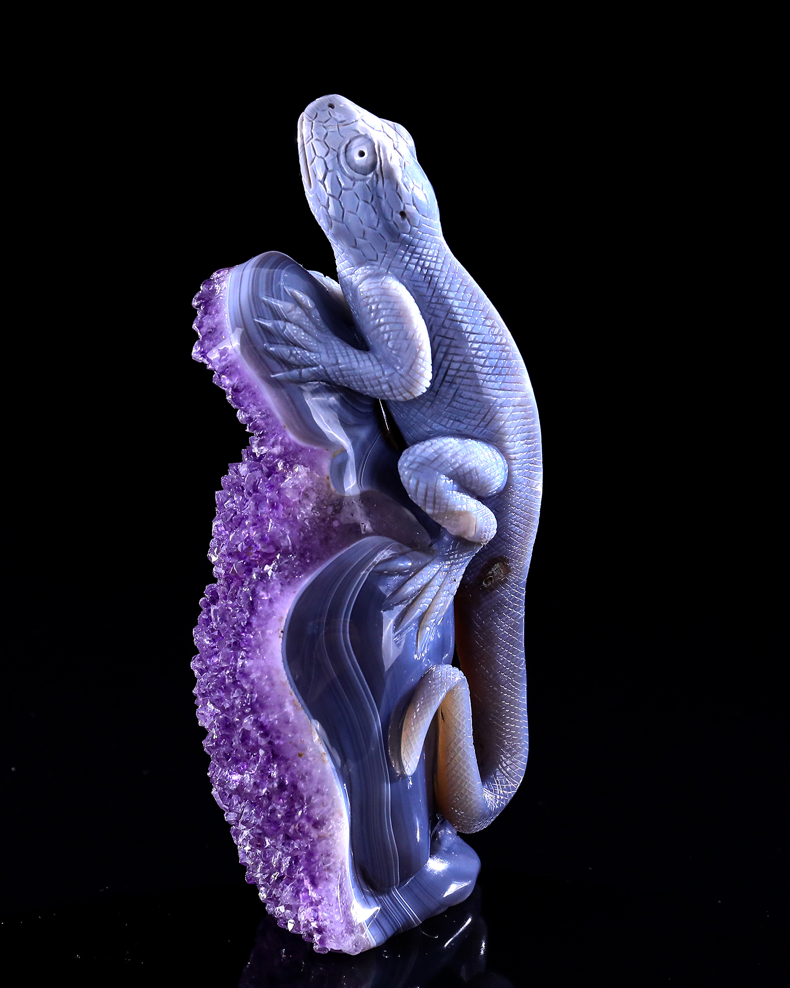 7.9" Amethyst Druse Agate Skull & Lizard Sculpture, Natural Crystal Gemstone Artifact for Luxury Decor
