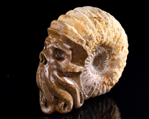 4.8" Ammonite Fossil Octopus Skull, Handcarved Jade Artifact - Unique Sculpture for Collection
