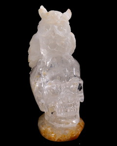 6 Inch Handcrafted Clear Crystal Skull with Owl Accent – Artisanal Carved Spiritual Decor