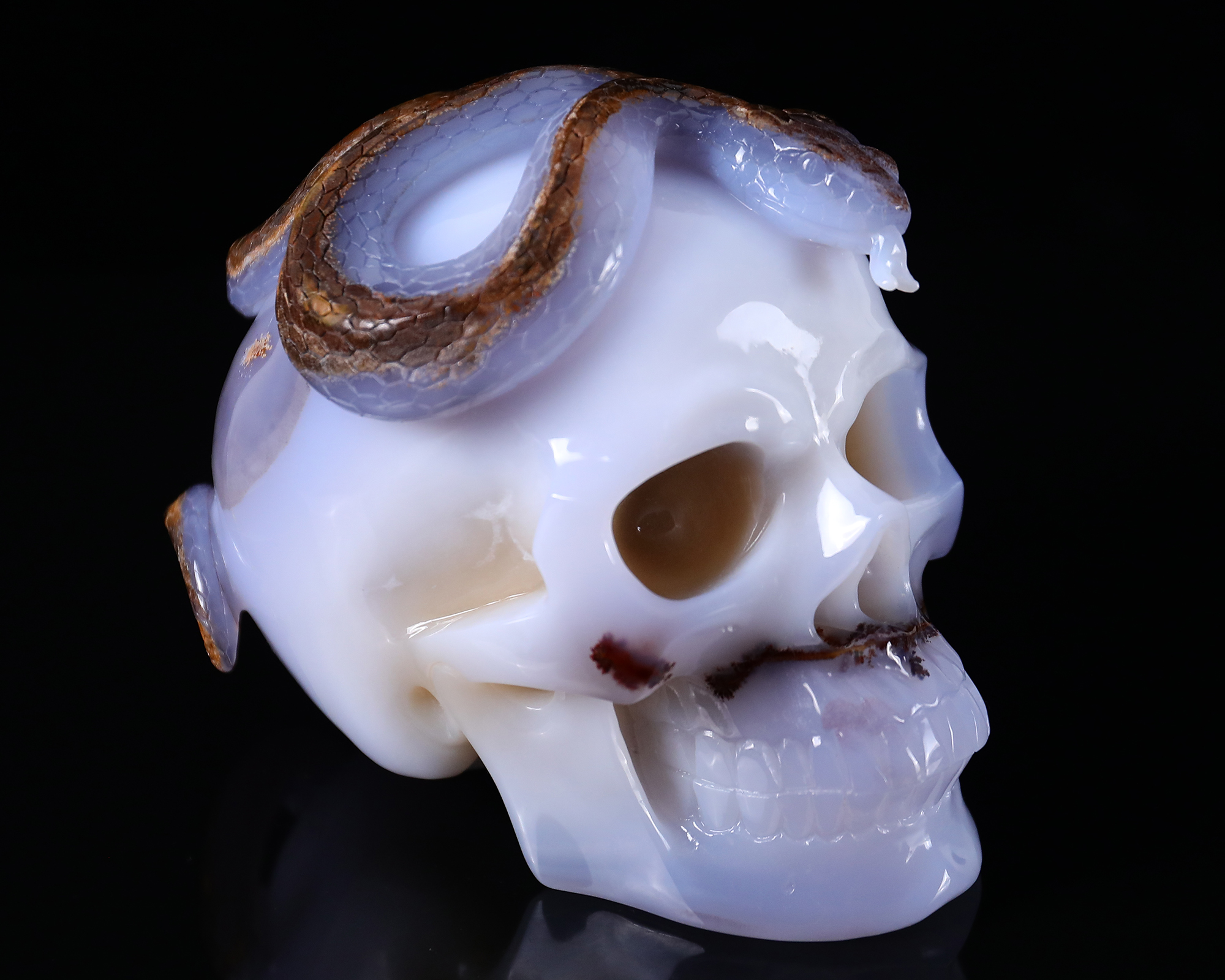 7.8 Inch Hand-Carved Blue Chalcedony Skull with Snake - Rare Natural Geode & Unique Patterns - Exquisite Artisan Decor
