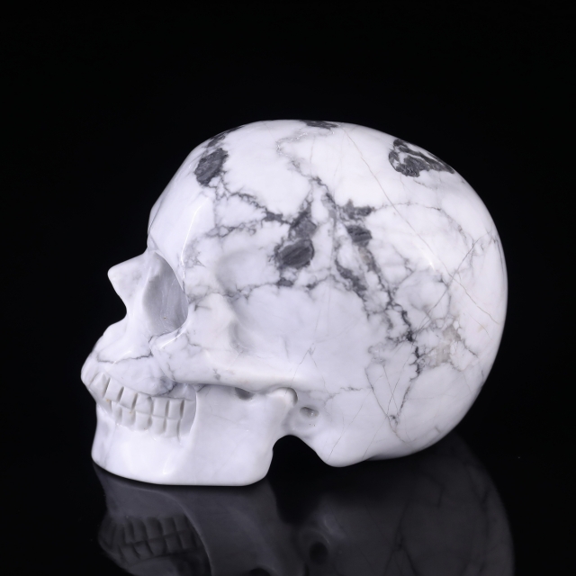 3.0" Howlite Hand Carved Crystal Realistic Skull Sculpture