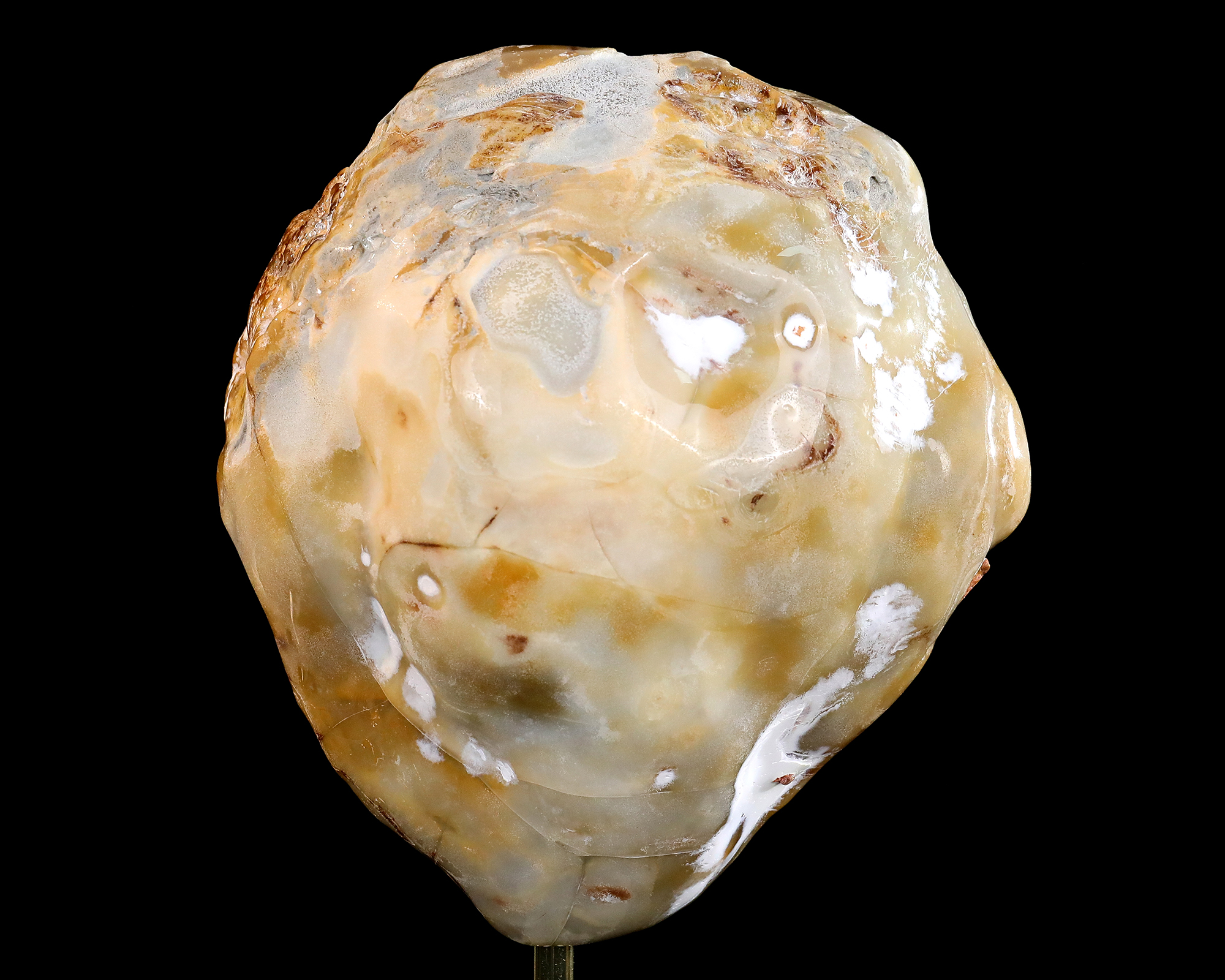 6.5" Natural Hand-Carved Geode Carved Raw Edged Blue Chalcedony Skull - Premium Gemstone Collectible