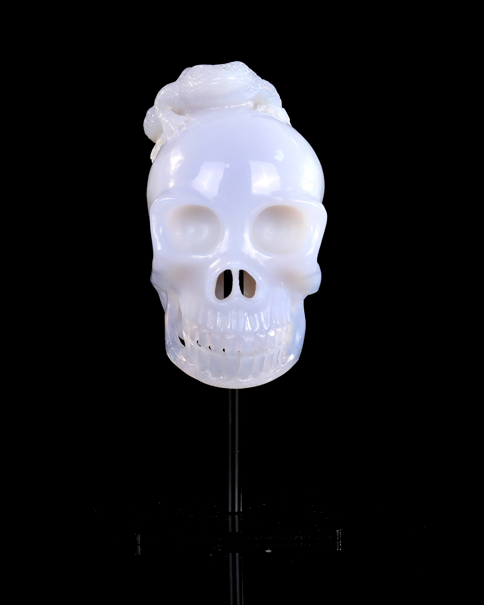 Blue Chalcedony Golden Toad on Skull Carving Hand-Carved Crystal Decorative Ornament