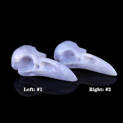 3.5" Blue Chalcedony Hand Carved Crystal Raven Skull Sculpture