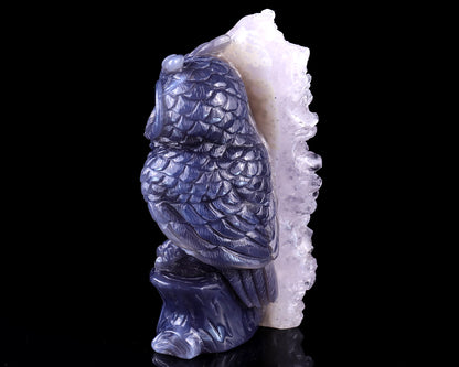 5.5" Quartz Rock Druse Hand Carved Crystal Owl Sculpture