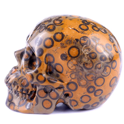 3.0" Leopard Skin Jasper Hand Carved Crystal Realistic Skull Sculpture