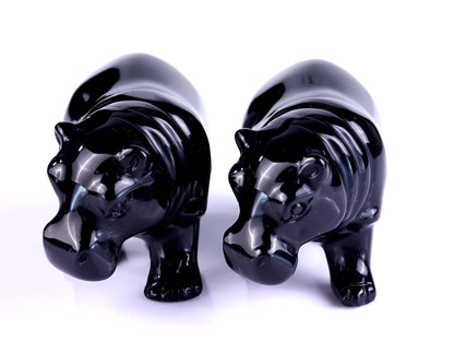 3.9" Black Obsidian Hand Carved Crystal Hippo Sculpture
