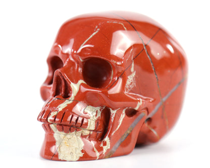 3.0" Red Jasper Hand Carved Crystal Realistic Skull Sculpture