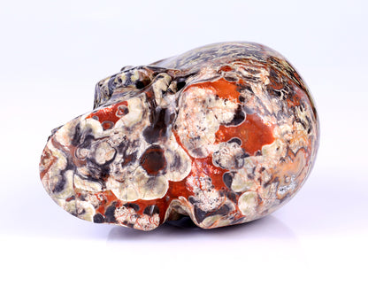 4.4" Coin Agate Hand Carved Crystal Realistic Skull Sculpture