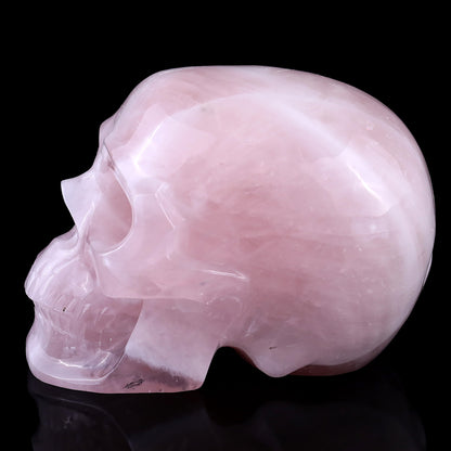7.6" Rose Quartz Hand Carved Crystal Realistic Skull Sculpture