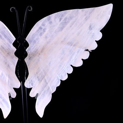 7.0" Rose Quartz Hand Carved Crystal Butterfly Wings Sculpture