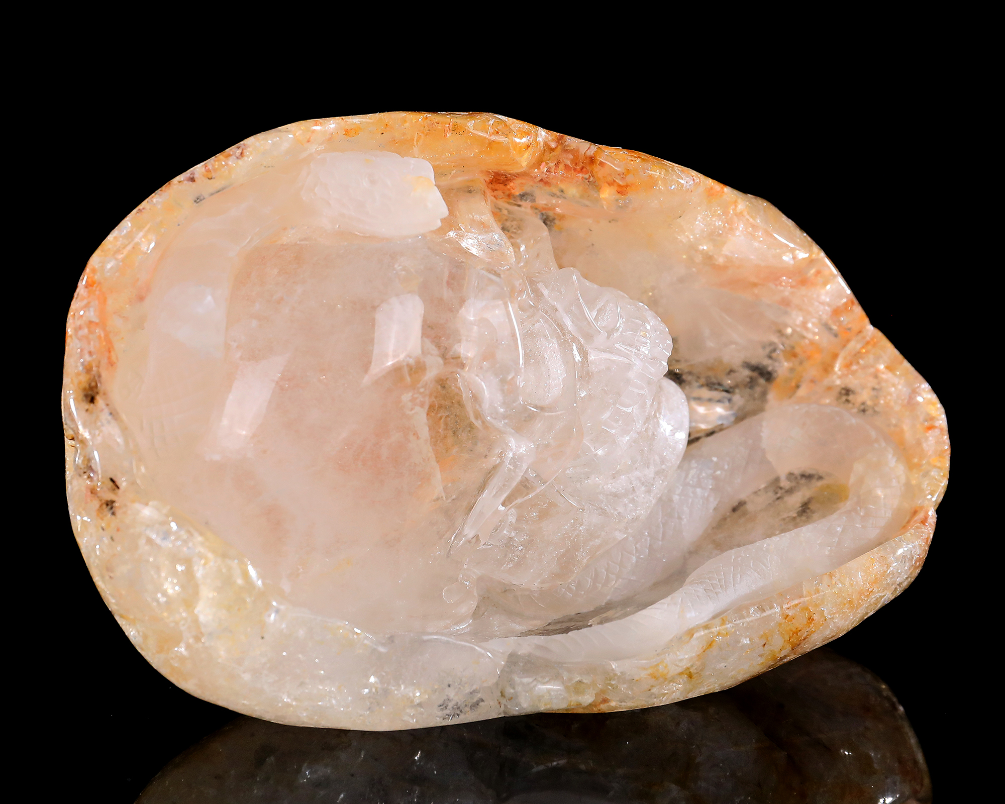 Hand-Carved 6-inch Clear Quartz Skull & Snake – Natural Gemstone Art for Mystical Collectors