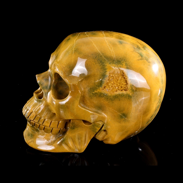 Ocean Jasper Skull - Hand-Carved Natural Crystal Skull, Unique Gemstone Artifact for Collectors, Home Decoration & Energy Healing