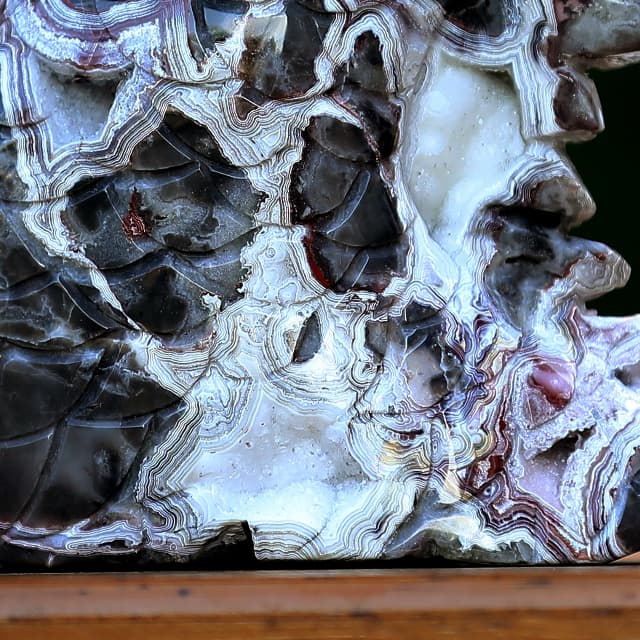 9.3" Red Lace Agate Hand Carved Crystal Dragon Skull Sculpture