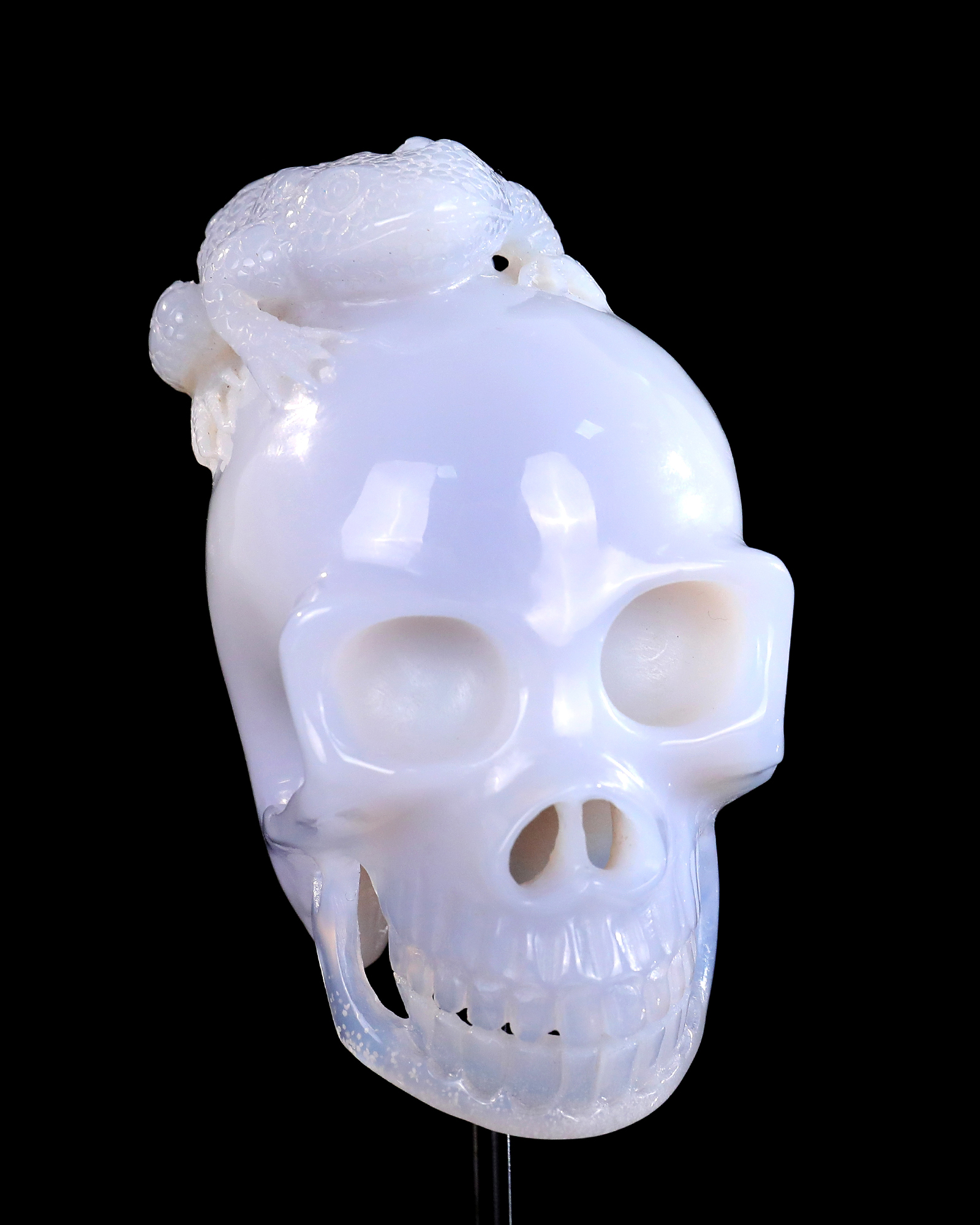 Blue Chalcedony Golden Toad on Skull Carving Hand-Carved Crystal Decorative Ornament