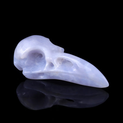 3.5" Blue Chalcedony Hand Carved Crystal Raven Skull Sculpture