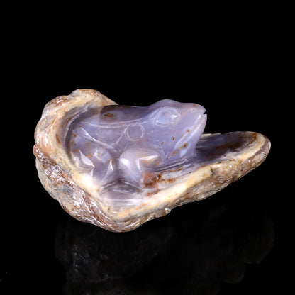 4.4" Blue Chalcedony Hand Carved Crystal Frog Sculpture