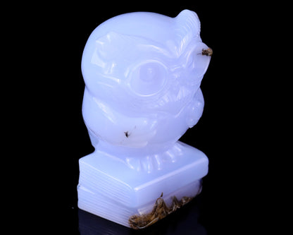 3.0" Blue Chalcedony Hand Carved Crystal Owl Sculpture