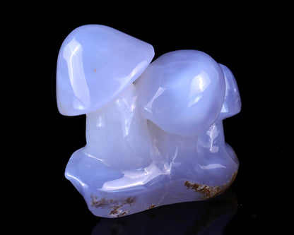 4.2" Blue Chalcedony Hand Carved Crystal Mushrooms Sculpture