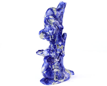 4.3" Sodalite Hand Carved Crystal Koalas Sculpture