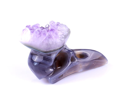 2.5" Amethyst Druse Agate Hand Carved Crystal Raven Skull Sculpture
