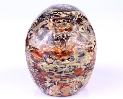 4.4" Coin Agate Hand Carved Crystal Realistic Skull Sculpture