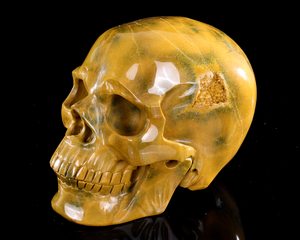 Ocean Jasper Skull - Hand-Carved Natural Crystal Skull, Unique Gemstone Artifact for Collectors, Home Decoration & Energy Healing