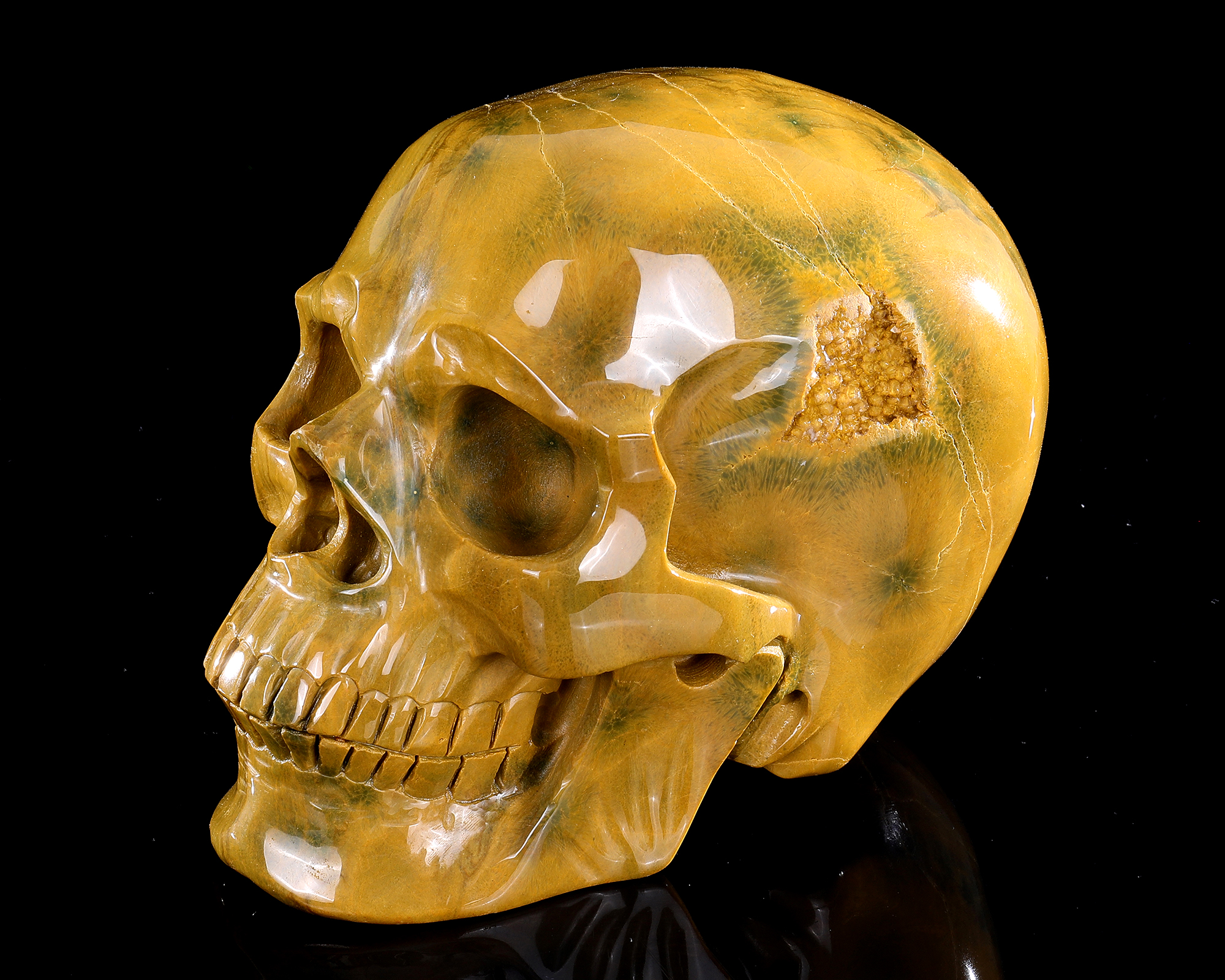 Ocean Jasper Skull - Hand-Carved Natural Crystal Skull, Unique Gemstone Artifact for Collectors, Home Decoration & Energy Healing