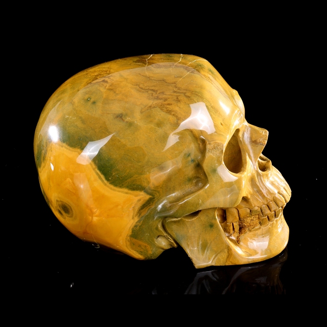 Ocean Jasper Skull - Hand-Carved Natural Crystal Skull, Unique Gemstone Artifact for Collectors, Home Decoration & Energy Healing