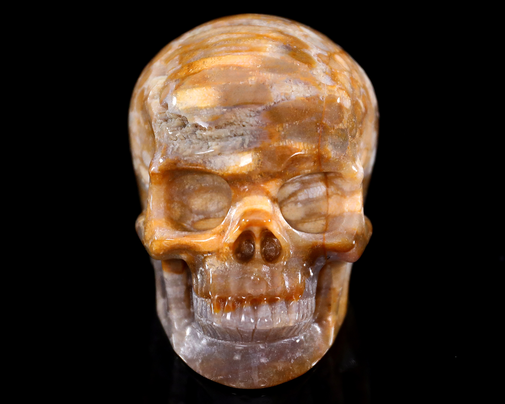 Agatized Coral Skull - Unique Gemstone Home Decor Piece