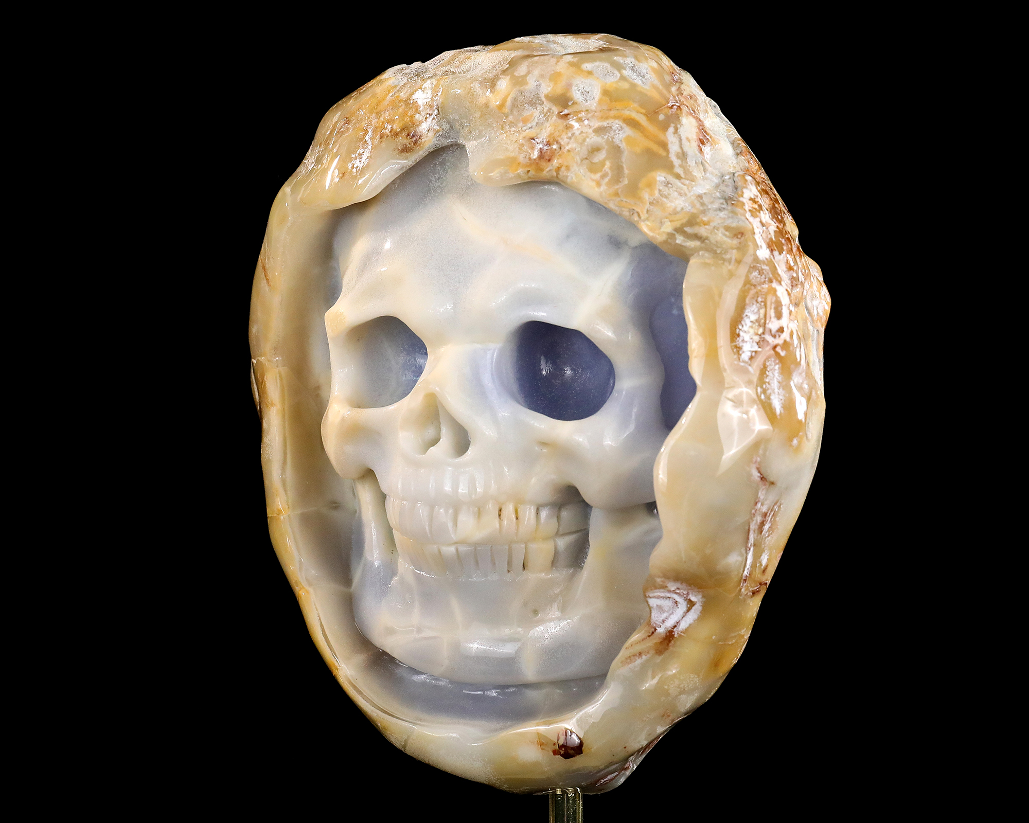 6.5" Natural Hand-Carved Geode Carved Raw Edged Blue Chalcedony Skull - Premium Gemstone Collectible