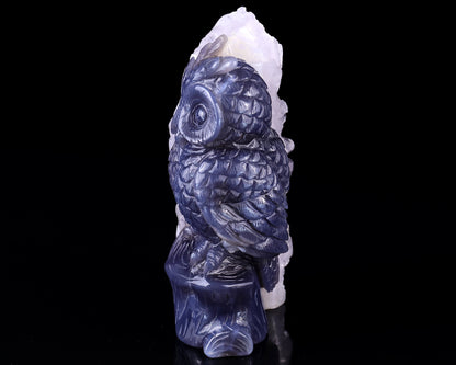 5.5" Quartz Rock Druse Hand Carved Crystal Owl Sculpture