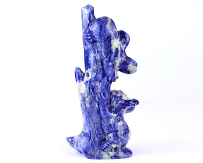 4.3" Sodalite Hand Carved Crystal Koalas Sculpture