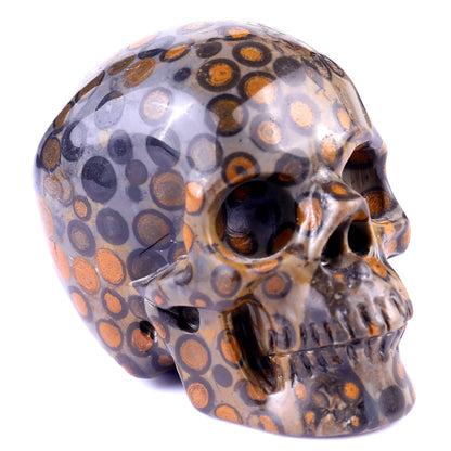 3.0" Leopard Skin Jasper Hand Carved Crystal Realistic Skull Sculpture