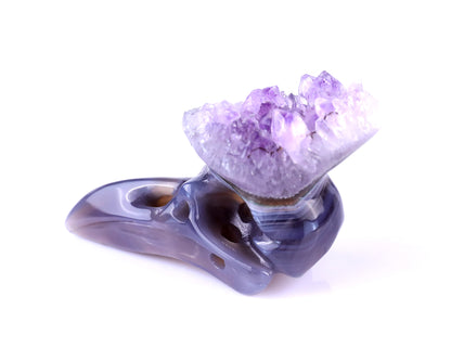 2.5" Amethyst Druse Agate Hand Carved Crystal Raven Skull Sculpture