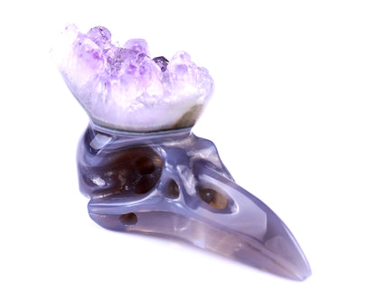 2.5" Amethyst Druse Agate Hand Carved Crystal Raven Skull Sculpture