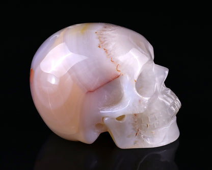 3.0" Agate Hand Carved Crystal Realistic Skull Sculpture